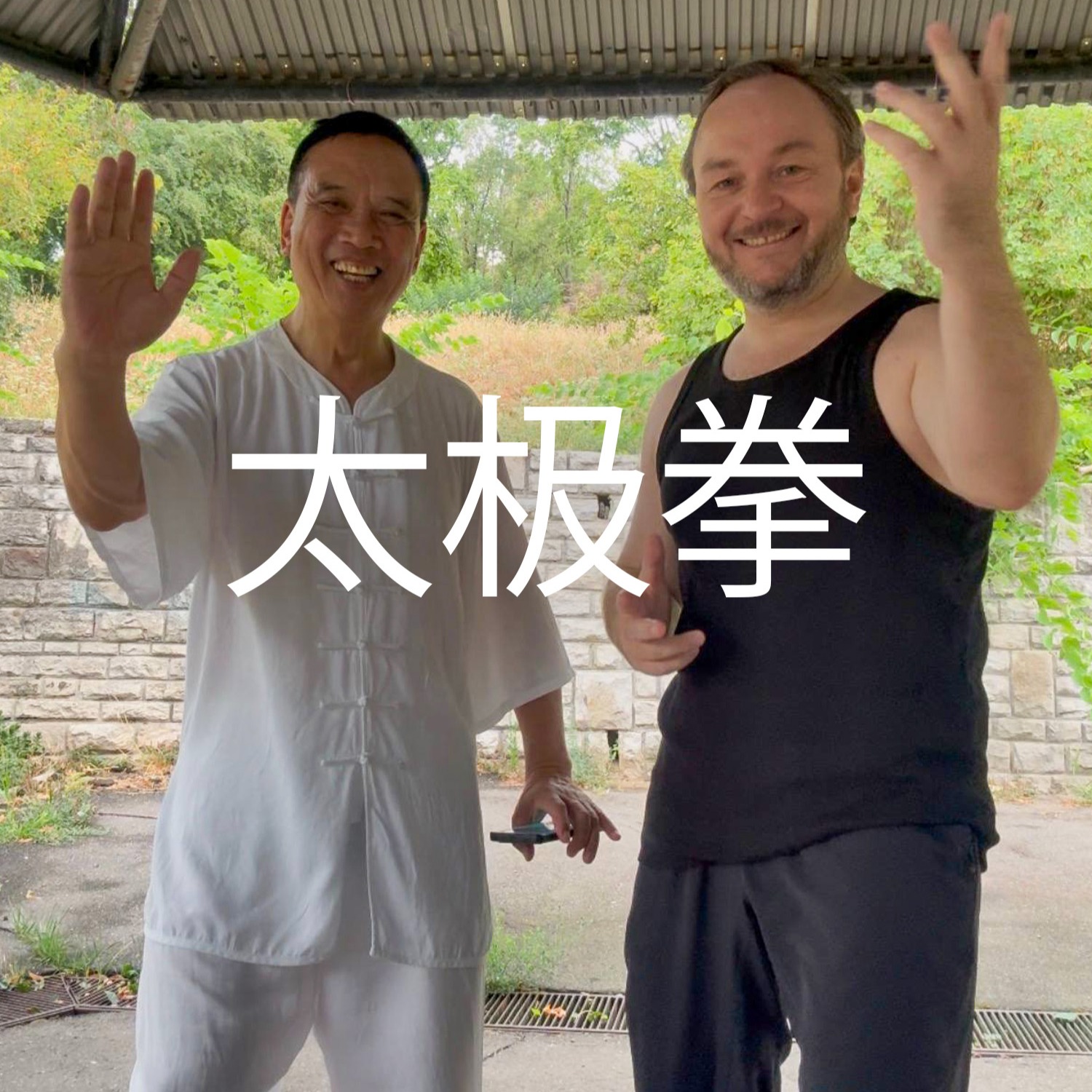 Мистер Чен, 太极拳 и писательский прогресс episode artwork