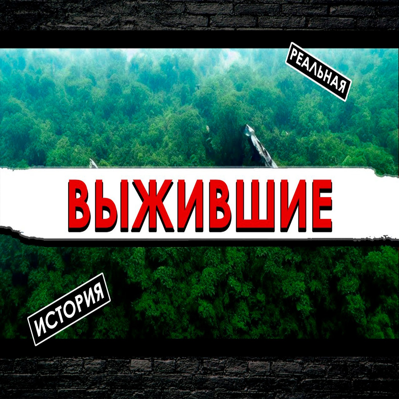 Выжившие. Две истории спасения после катастроф episode artwork
