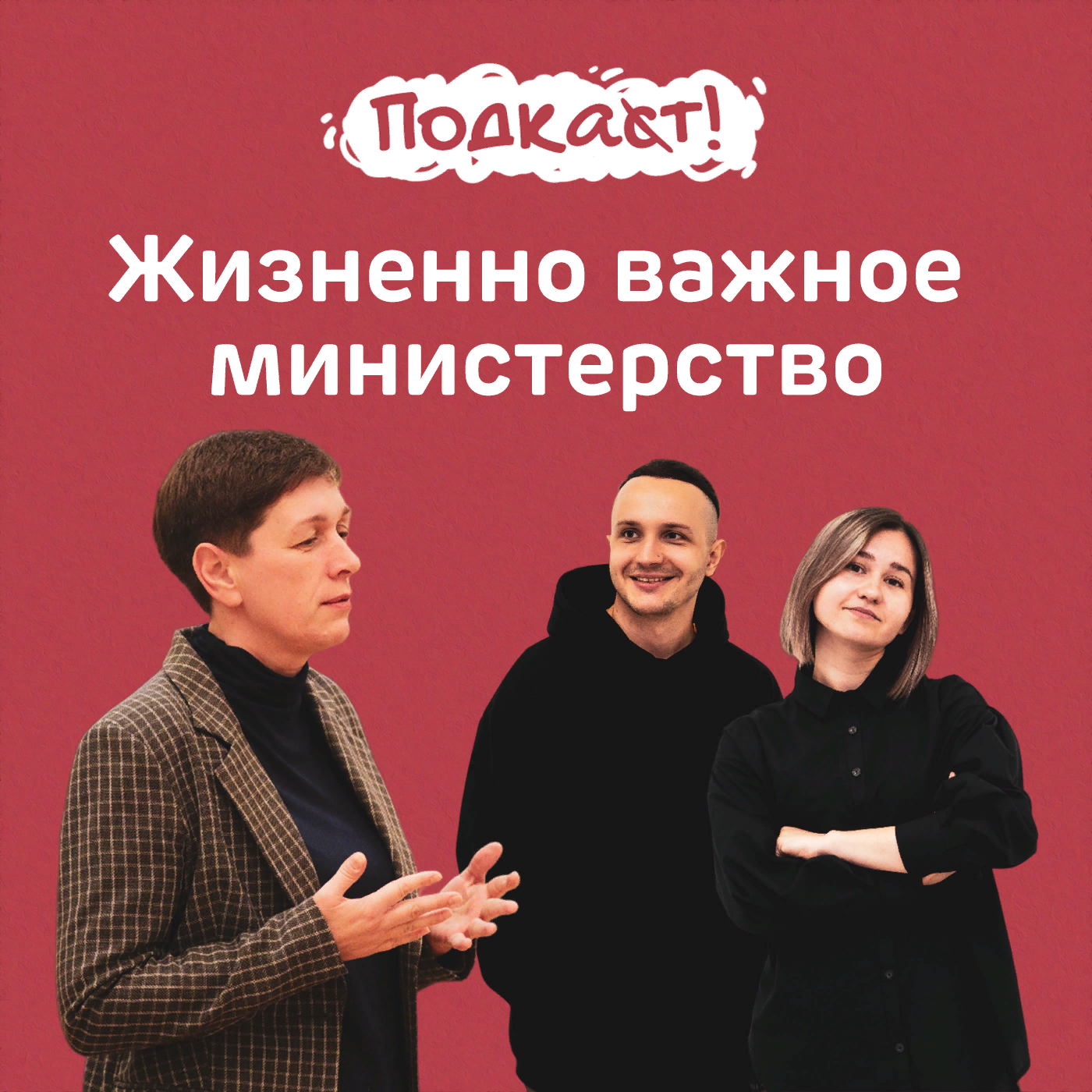Жизненно необходимое министерство — Елена Мамонтова о работе в минтруда Ставрополья episode artwork