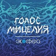 Выпуск №41. Александр Федоров об экологических инициативах и экоактивизме