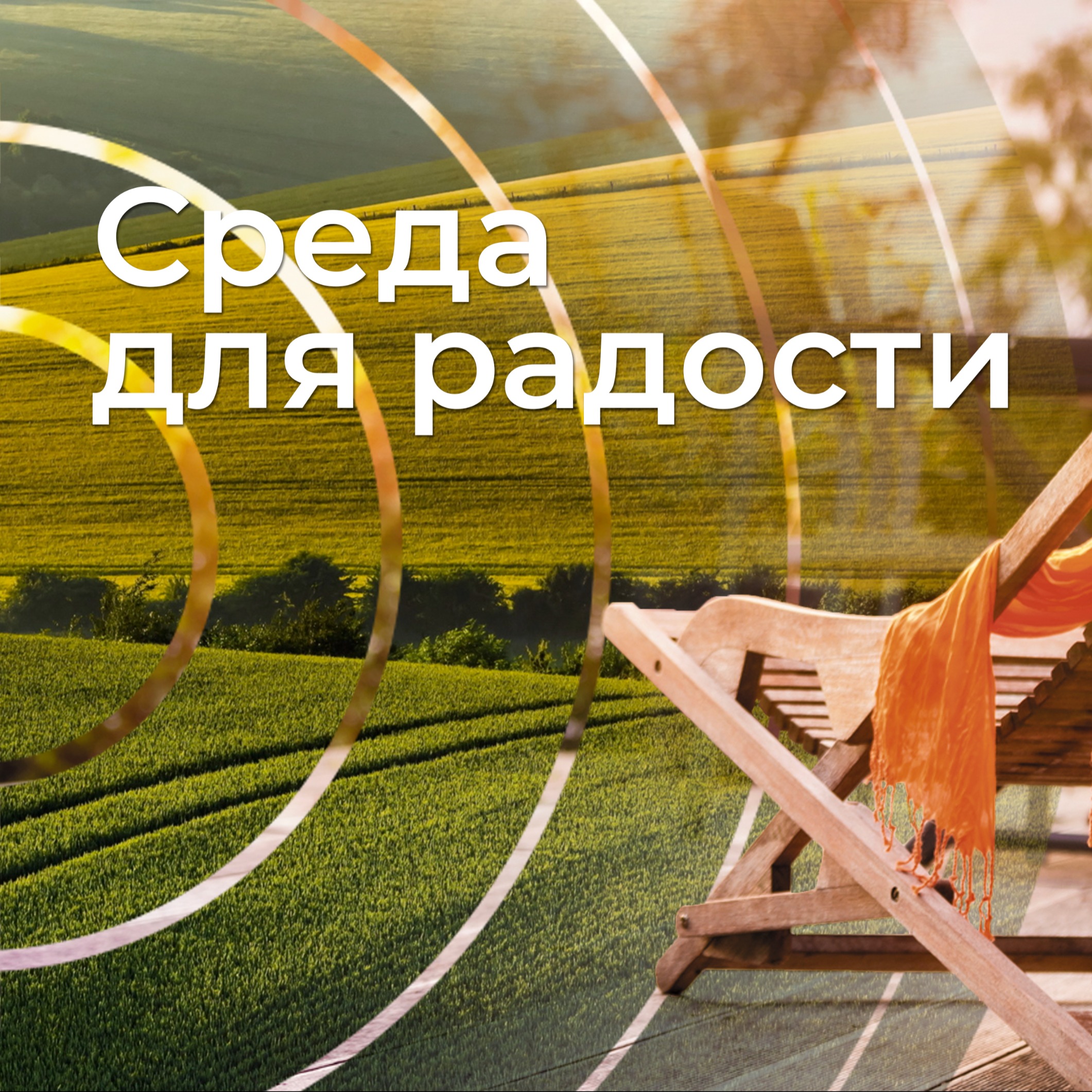 Три книги по здоровому питанию, которые можно взять домой 📚 episode artwork