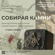 Собирая камни: стихи о войне