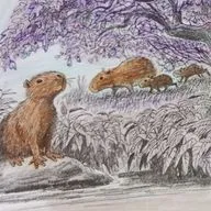 Приключения Ждунов