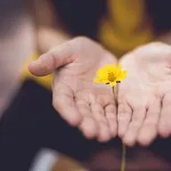 О качествах майндфулнес «Отпускание» и «Ум новичка».