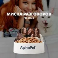 Миска разговоров. Подкаст с сотрудниками AlphaPet. Часть 2: Кошки, коты, котята и как они нас выбрали