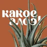 Переезд с комнатными растениями