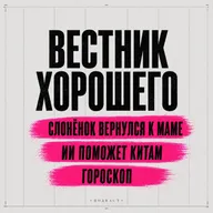 Выпуск №16: Слонёнок вернулся к маме, ИИ поможет китам, Гороскоп
