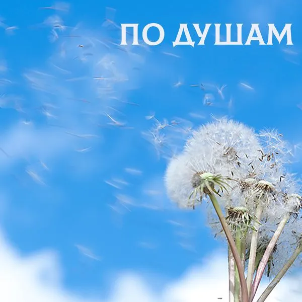 ПО ДУШАМ
