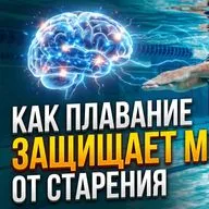 Как плавание защищает мозг от старения