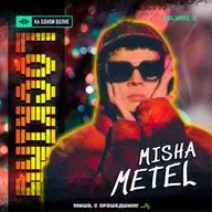 На одной волне с Мишей Метельковым (Локинг. Volume 2)