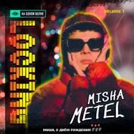 На одной волне с Мишей Метельковым (Локинг. Volume 1)