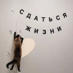 Сдаться жизни