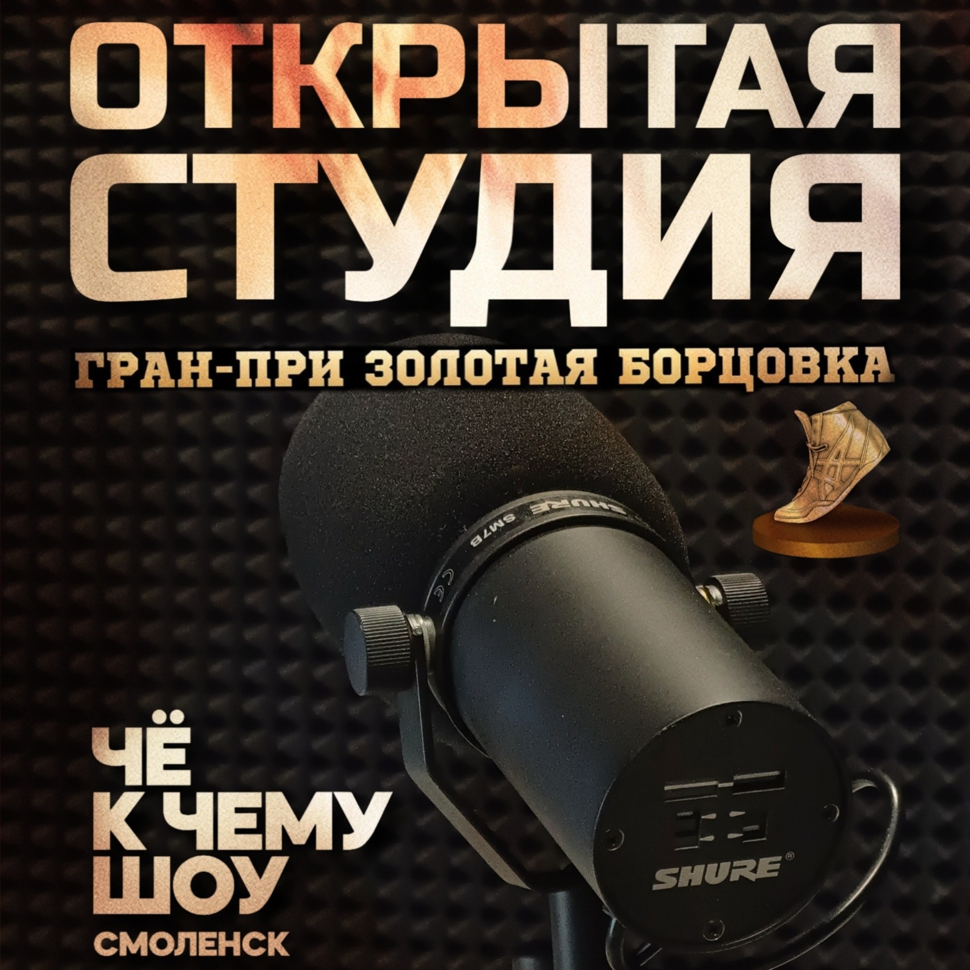 Открытая студия DFM на ГРАН-ПРИ "ЗОЛОТАЯ БОРЦОВКА" episode artwork