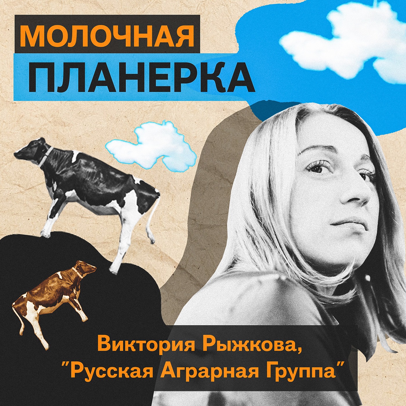 Виктория Рыжкова (Русская Аграрная Группа) - про главную проблему старых ферм, доходность в секторах и сексизм в АПК episode artwork