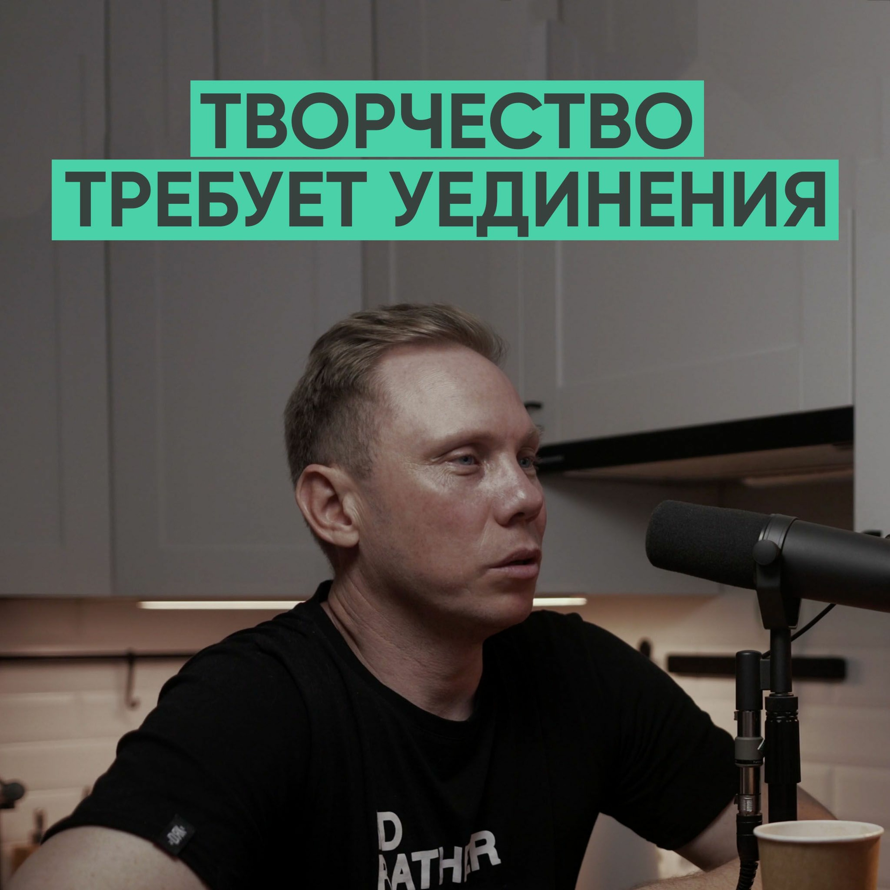 042 – Творчество требует уединения (Нигатив / Владимир Афанасьев) episode artwork