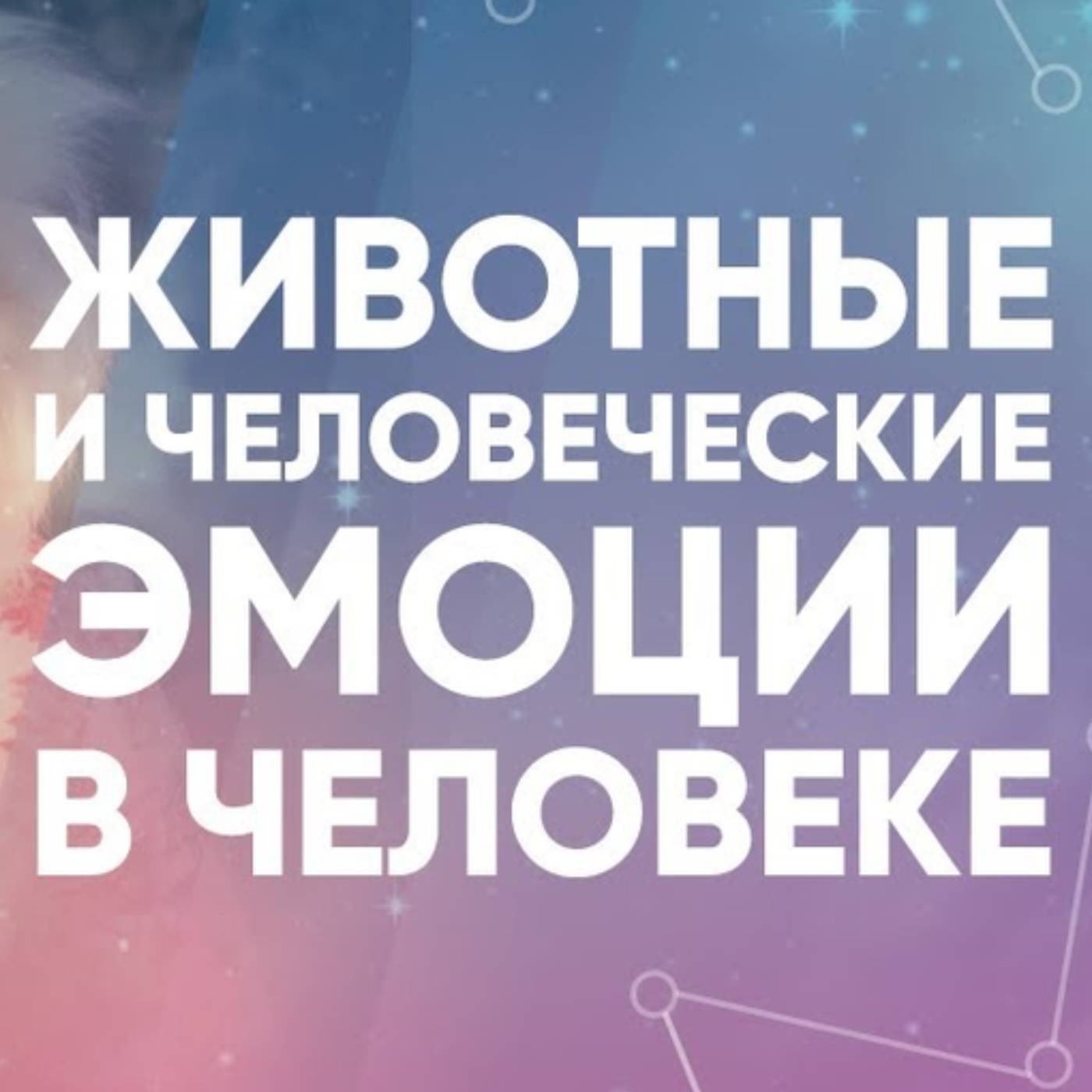 Животные и человеческие эмоции в человеке episode artwork