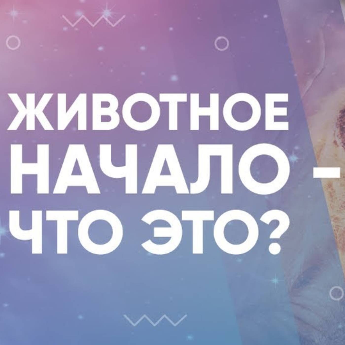 В чем смысл животного начала в человеке episode artwork