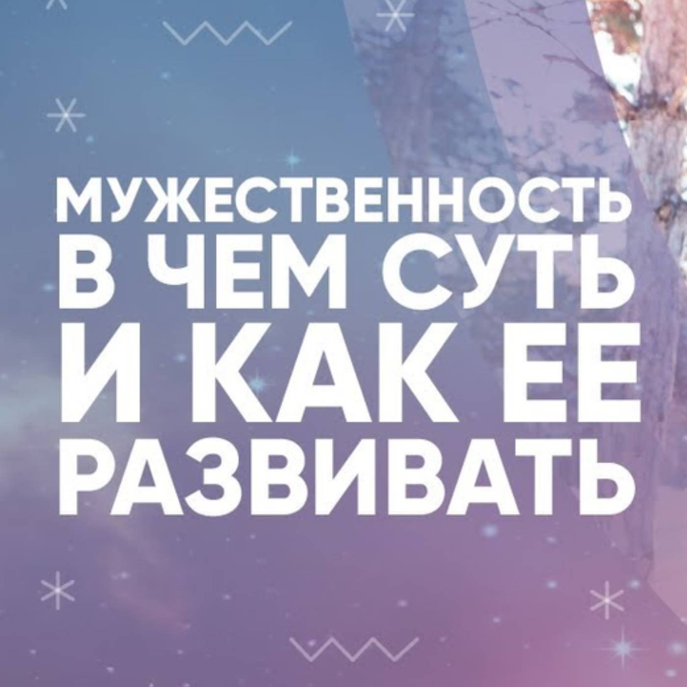 Мужественность в чем суть и как ее развивать episode artwork