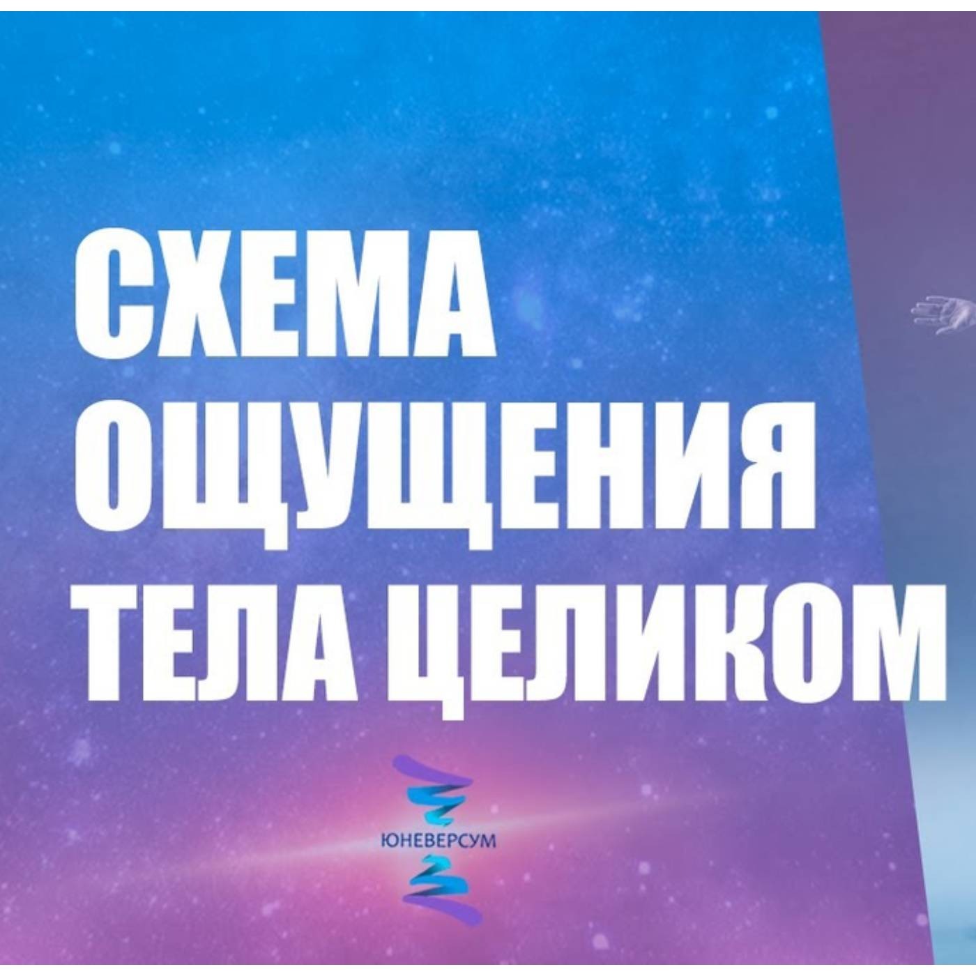 Схема ощущения тела целиком episode artwork
