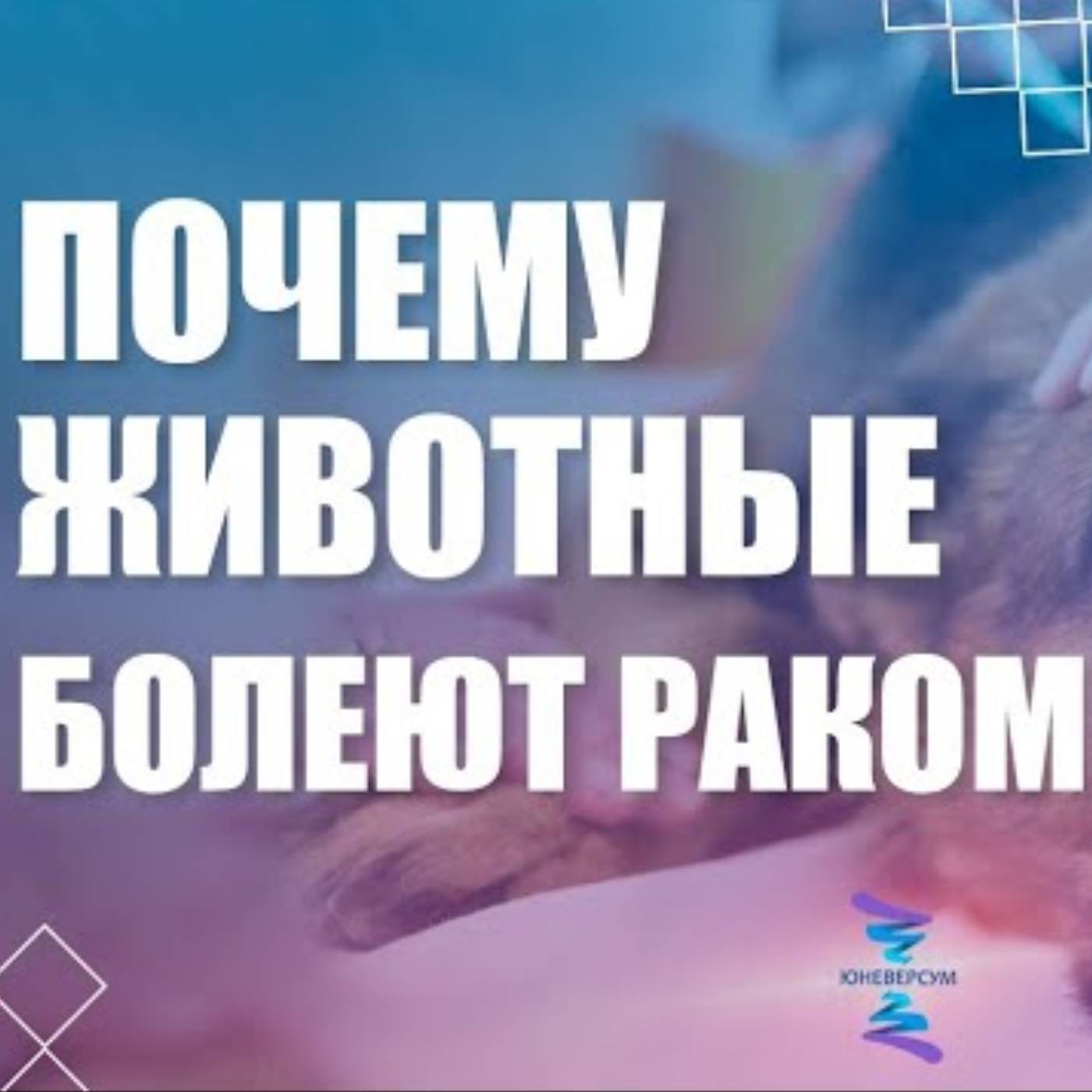 Почему животные болеют раком