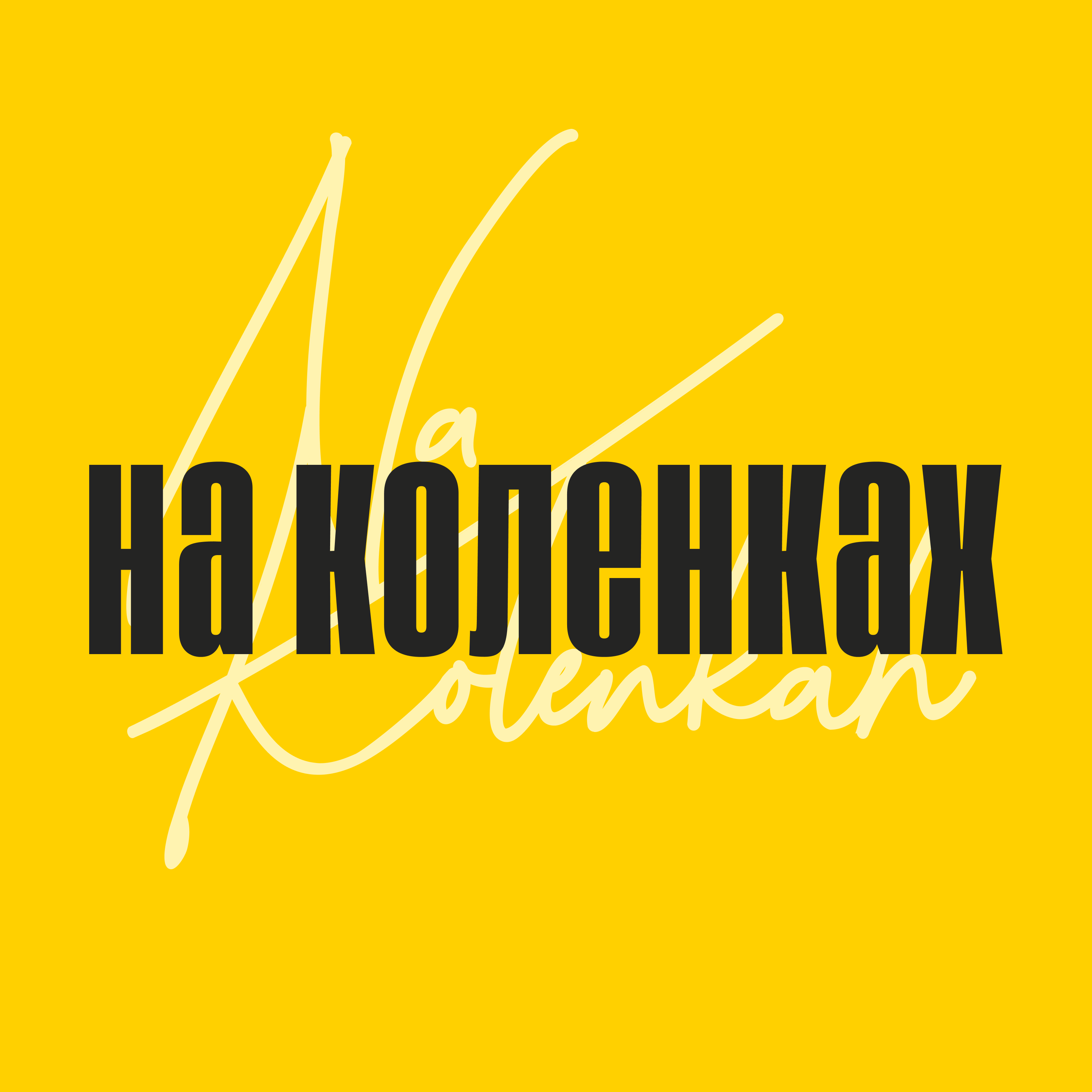 На Коленках