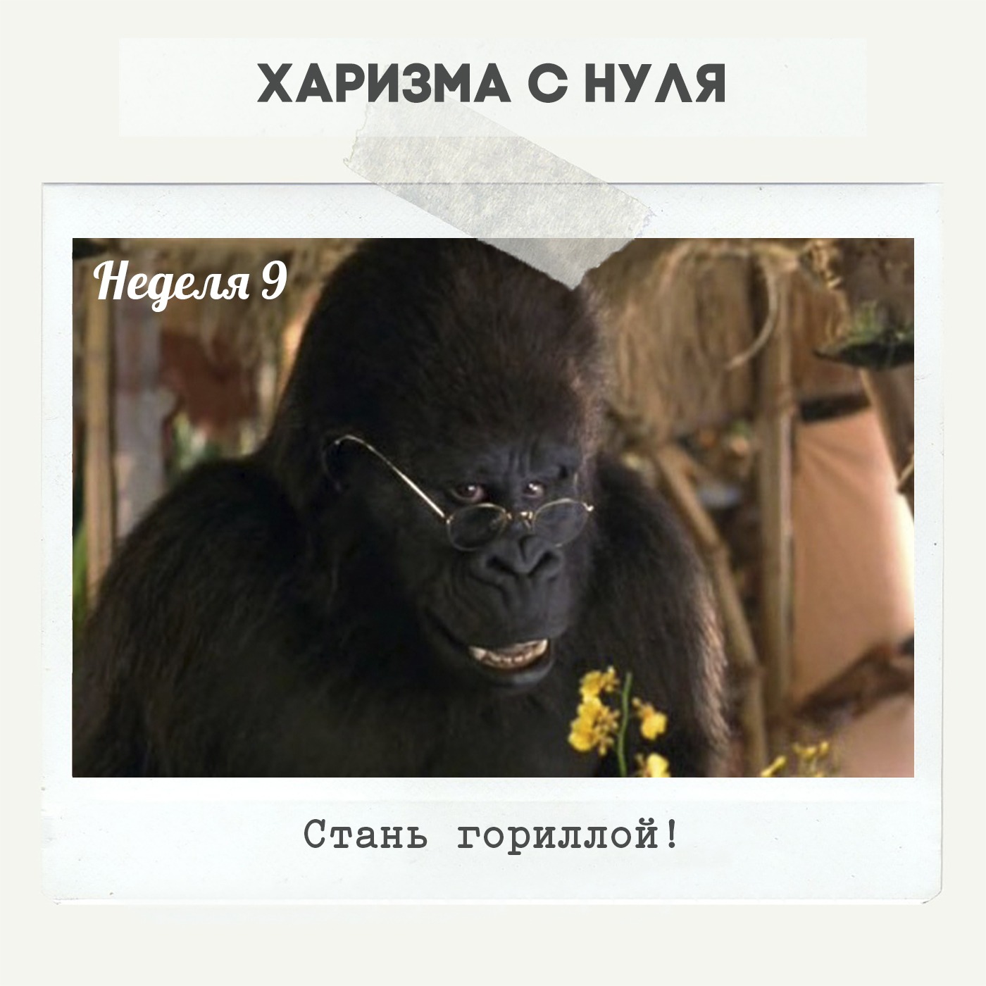 Неделя 9 - Стань гориллой! Неделя 9 - Стань гориллой!
