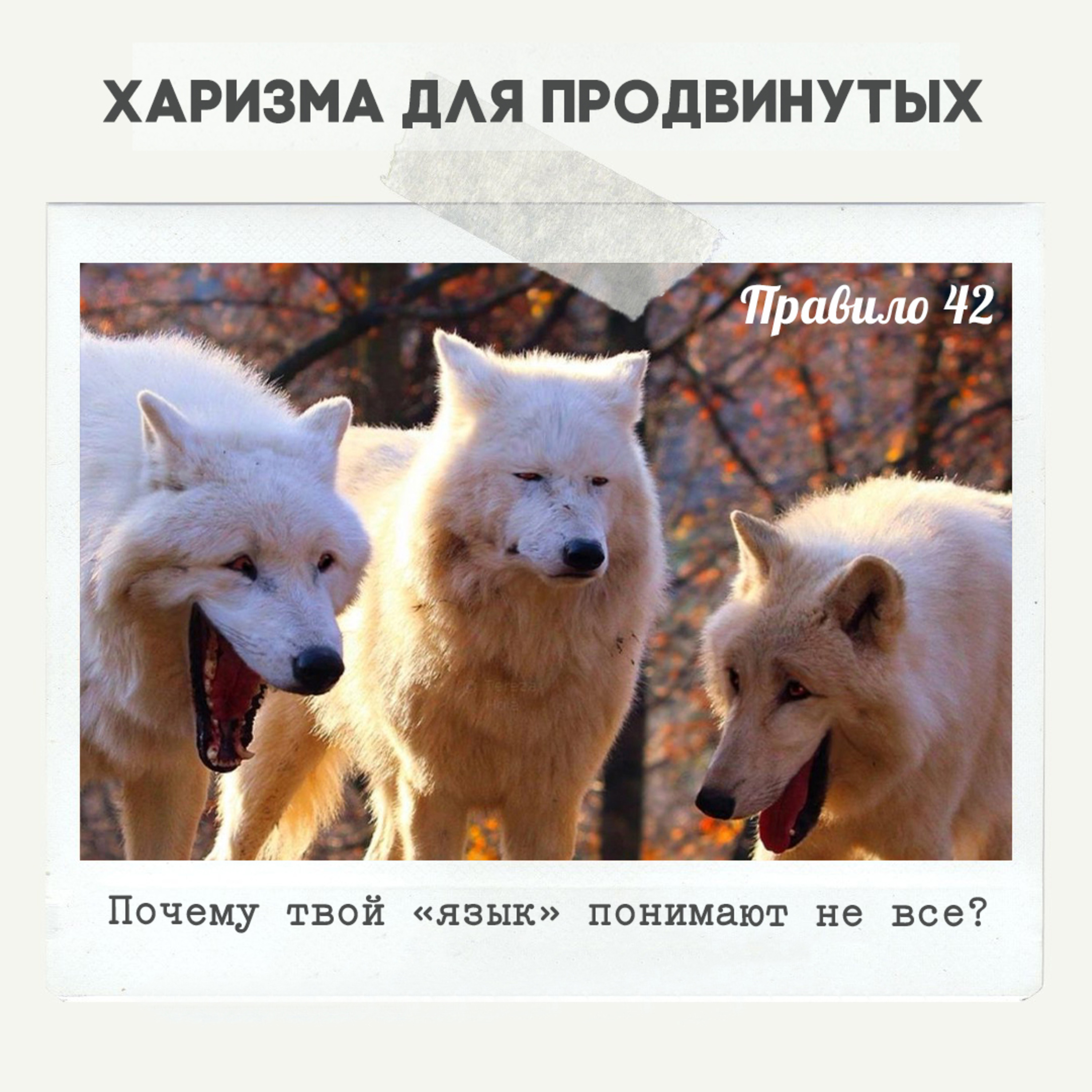 Правило 42 - Почему твой язык понимают не все episode artwork