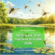 "Метельки, или Тысяча и один день"  /Виталий Бианки / Озвучивает Анастасия Зинакова