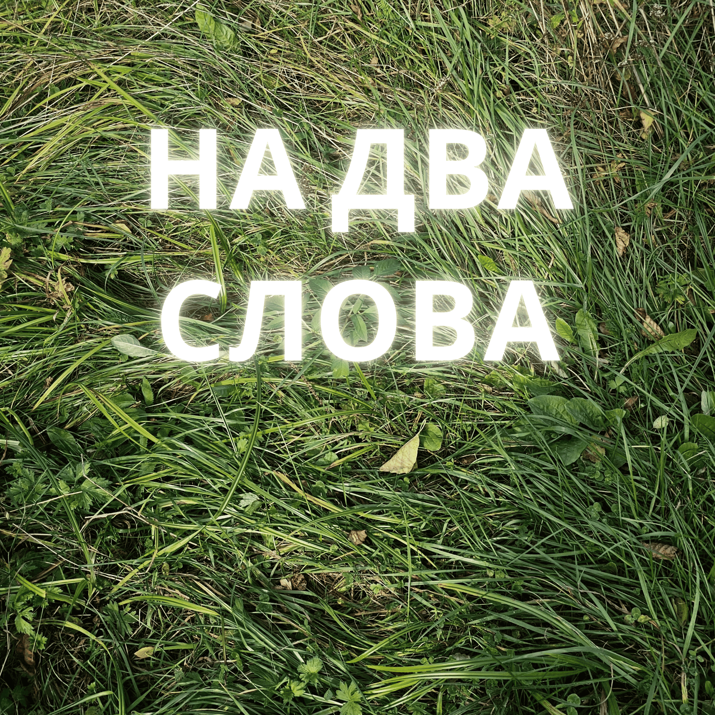 Чидега и стригой. Эпизод 16. podcast