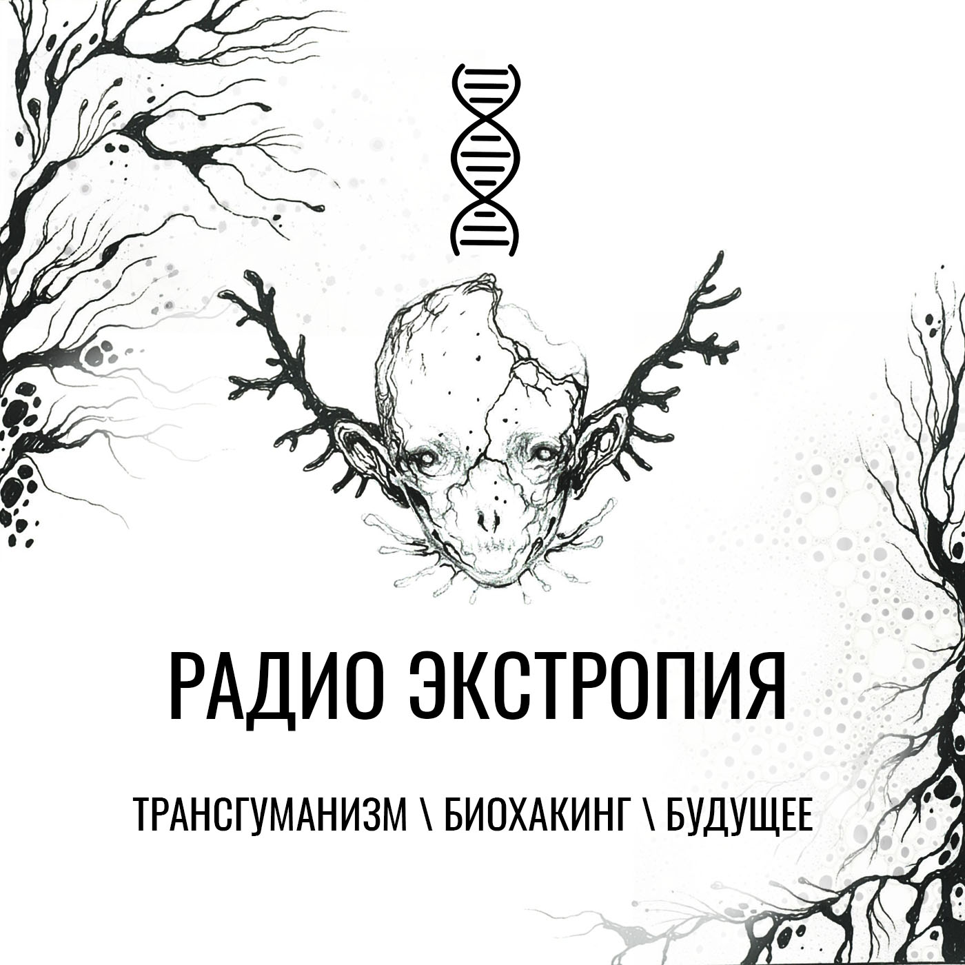 Радио Экстропия