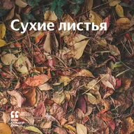 Сухие листья