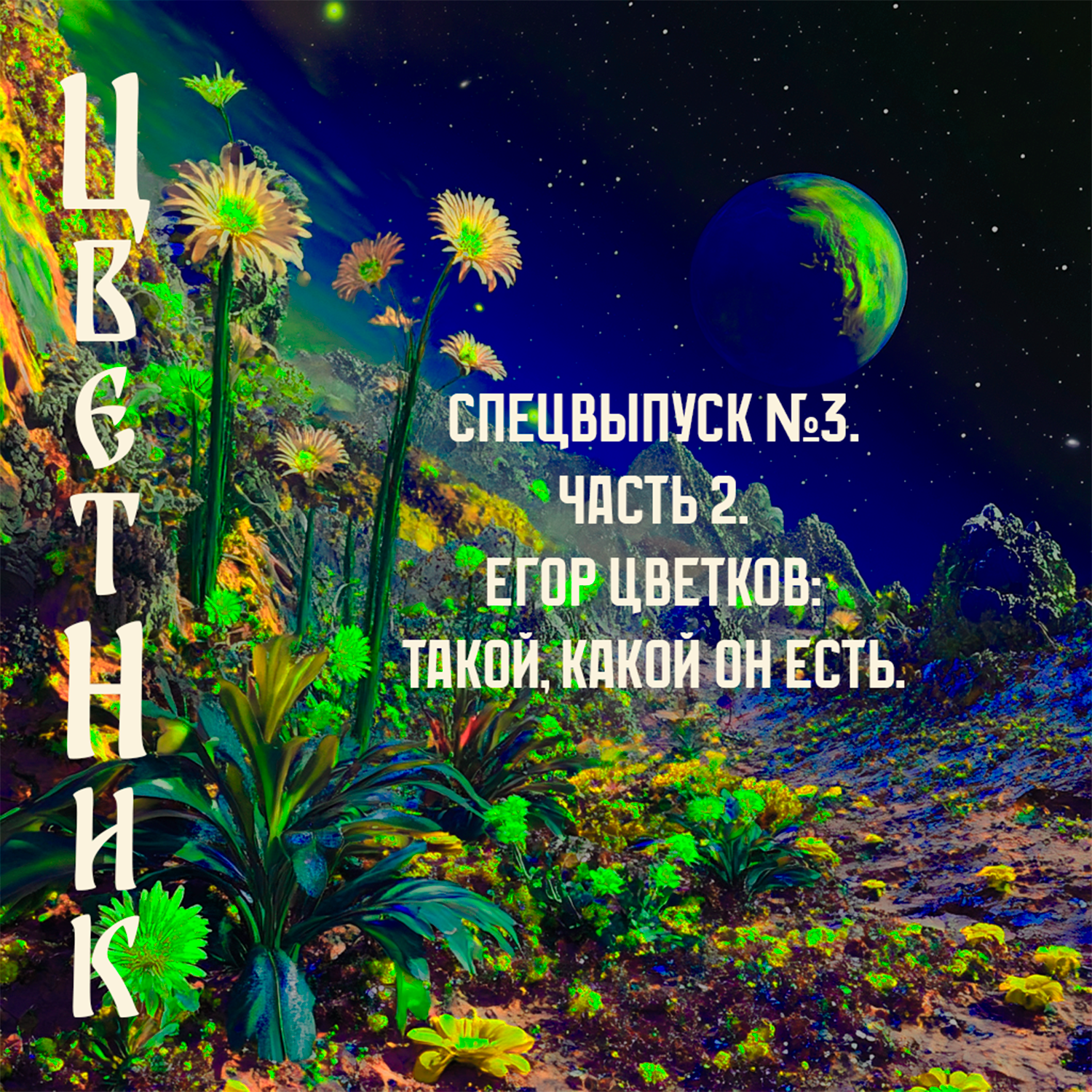 Подкаст ЦветНик - Спецвыпуск №3. Часть 2. Егор Цветков: такой, какой он есть. episode artwork