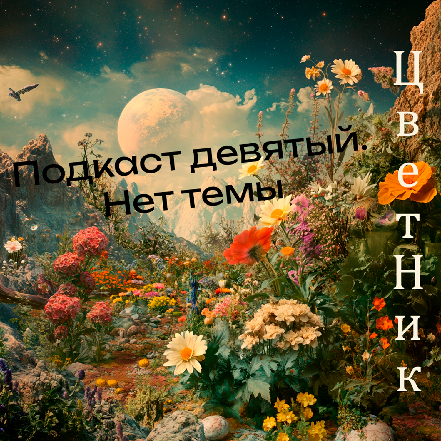 ЦветНик - Подкаст Девятый. Нет темы episode artwork