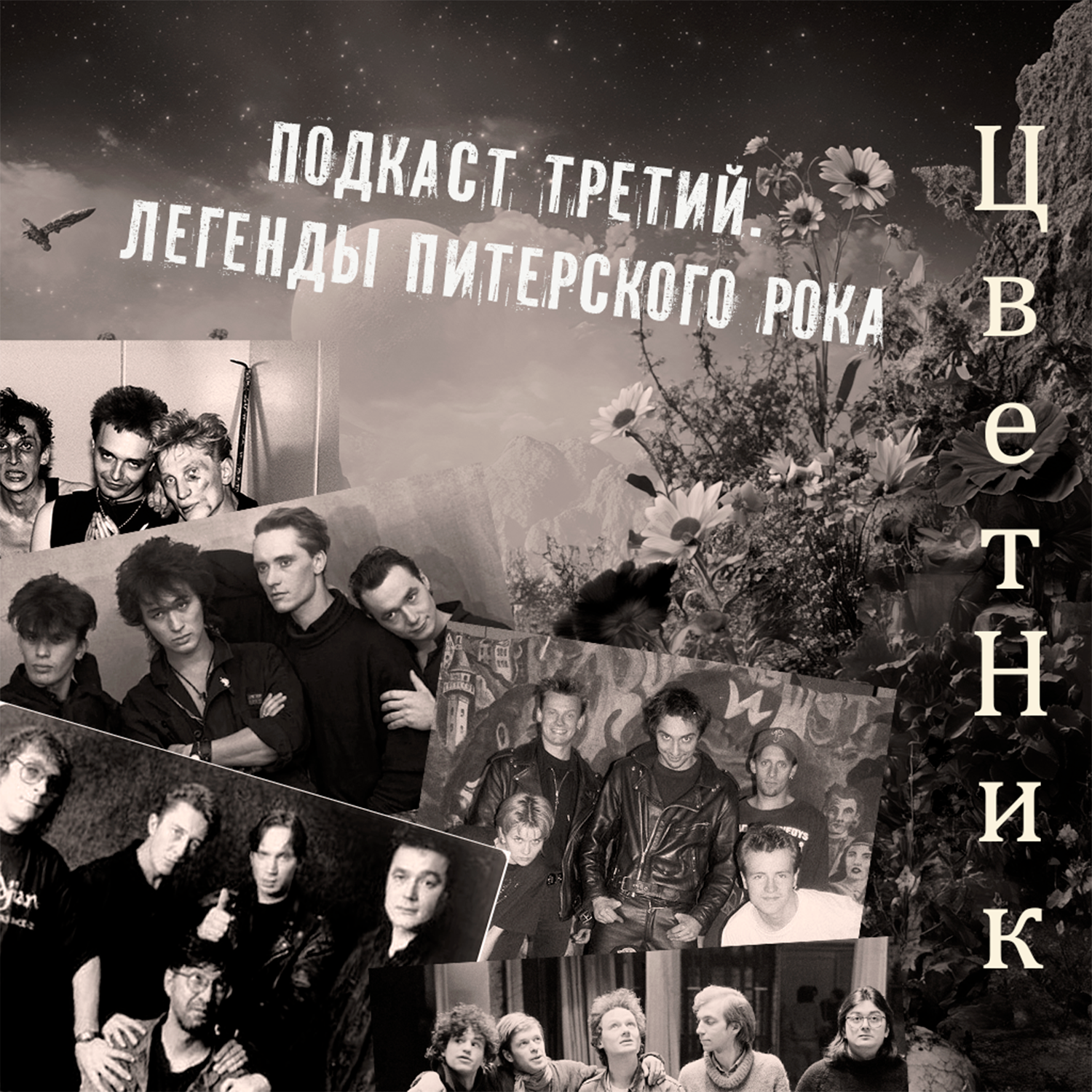 ЦветНик - Подкаст третий. Легенды Питерского рока episode artwork