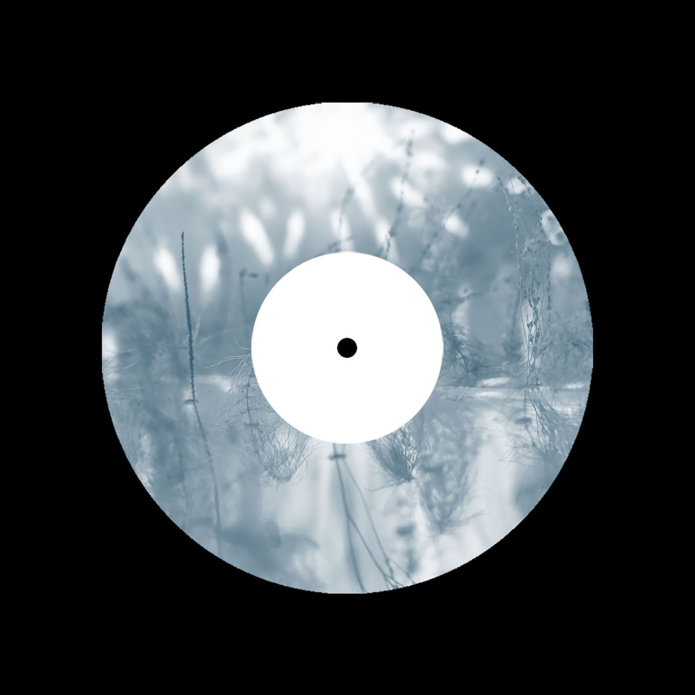 Денис Соловьев feat. Музей PERMM. Компиляция к выставке «Следуя (по) муравьиной тропе» podcast