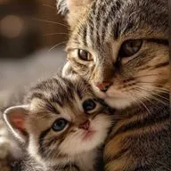 Притча о том, где спрятано счастье...