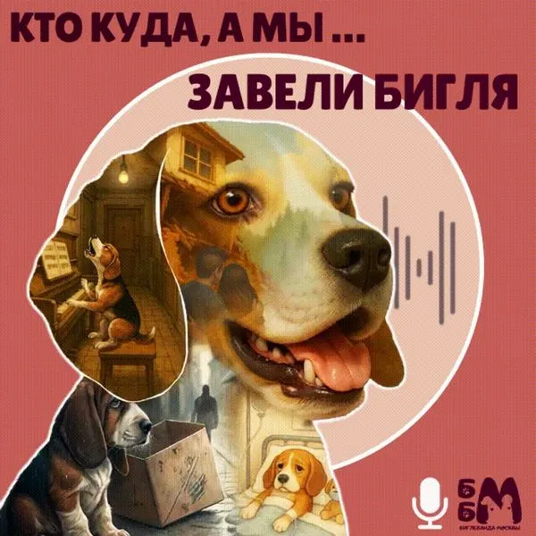 Кто куда, а мы завели бигля и жалеем