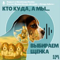 Кто куда, а мы выбираем щенка