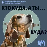 Кто куда, а ты куда?