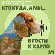 Кто куда, а мы в гости к Харпо!
