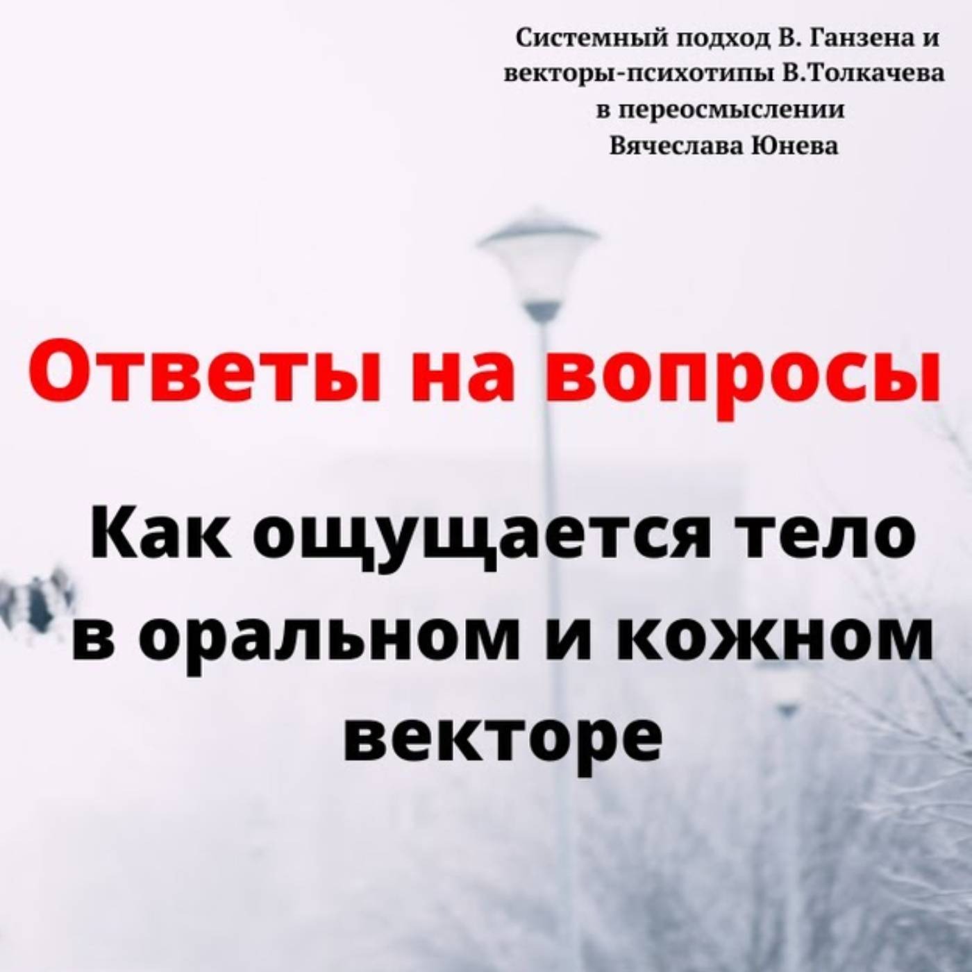 Как ощущается тело в оральном и кожном векторе episode artwork