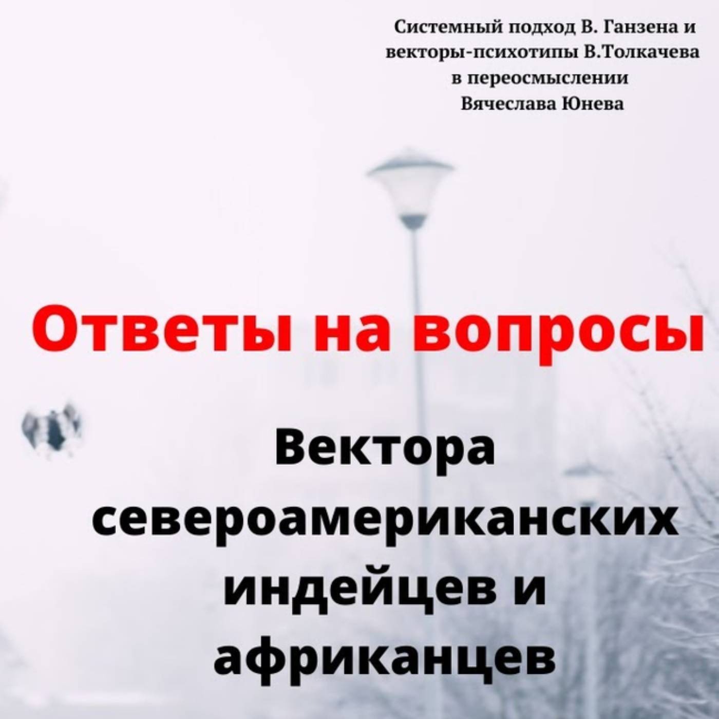Вектора североамериканских индейцев и африканцев episode artwork