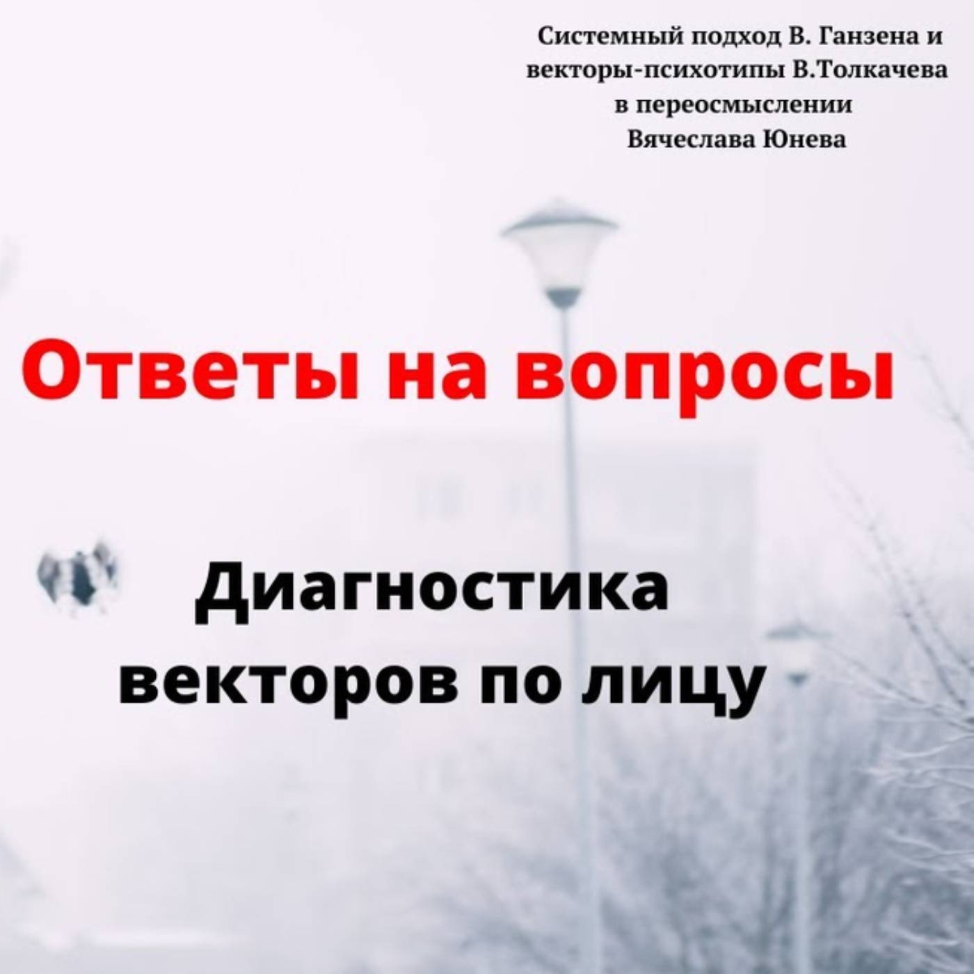 Диагностика векторов по лицу episode artwork