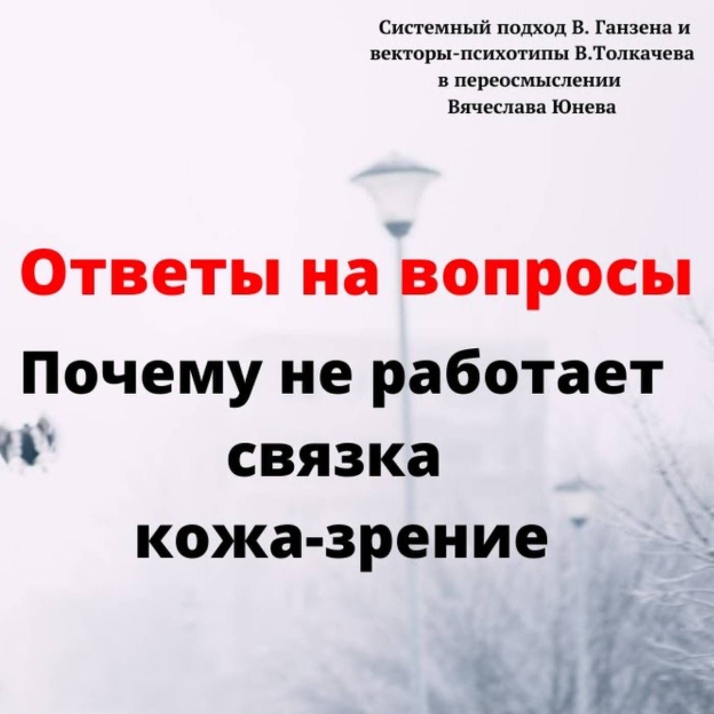 Почему не работает связка кожа-зрение episode artwork