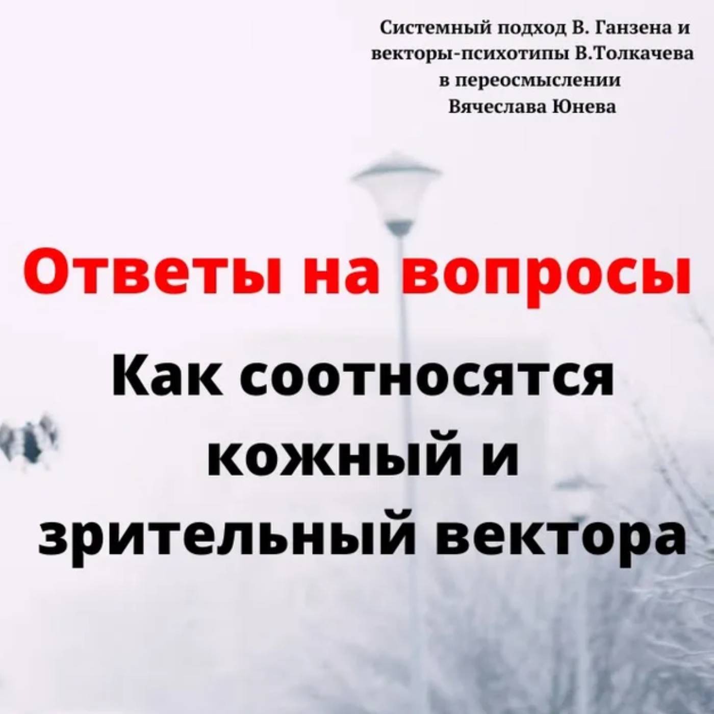 Как соотносятся кожный и зрительный вектор episode artwork