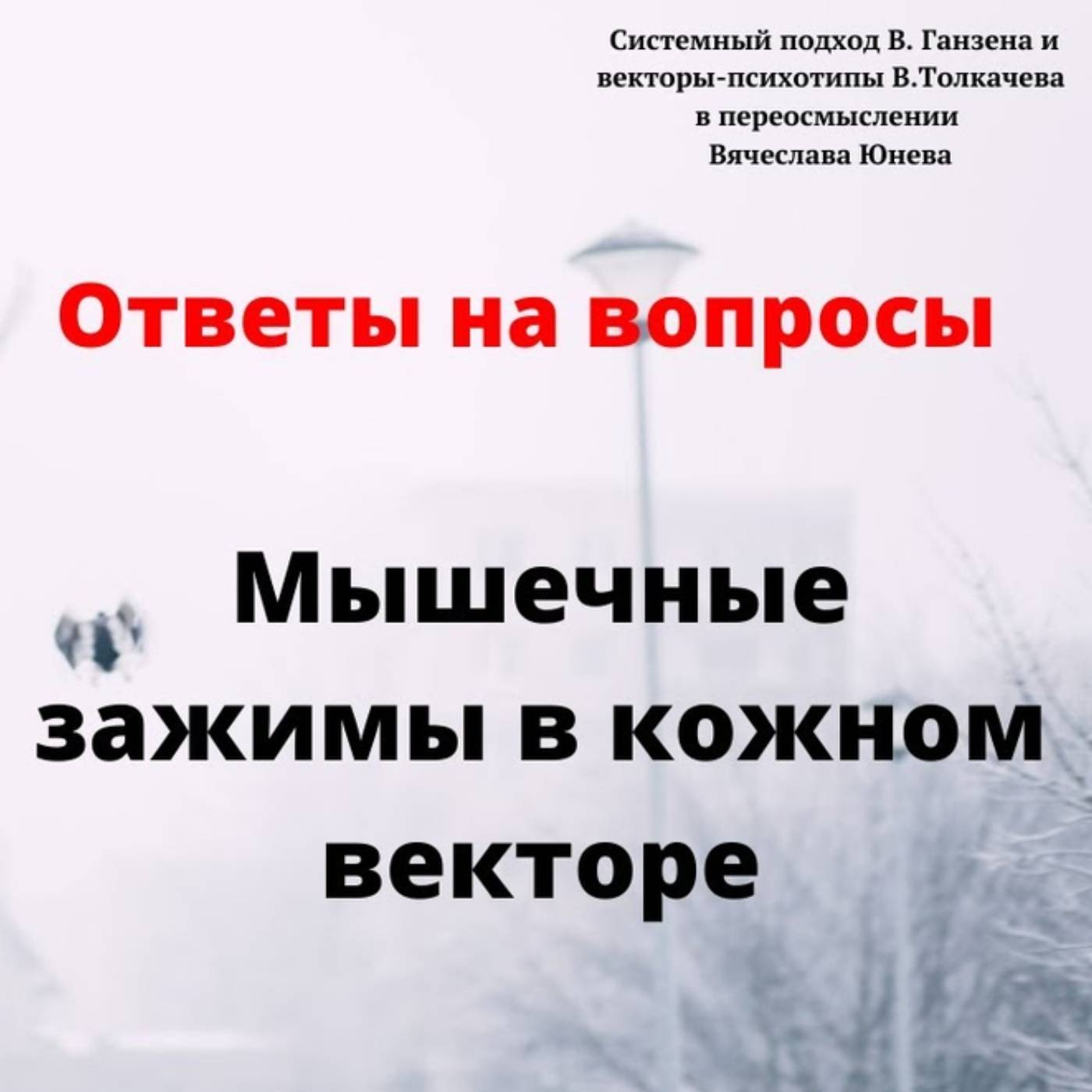 Почему люди с ведущим кож вектором быстрее всего хапают зажимы episode artwork
