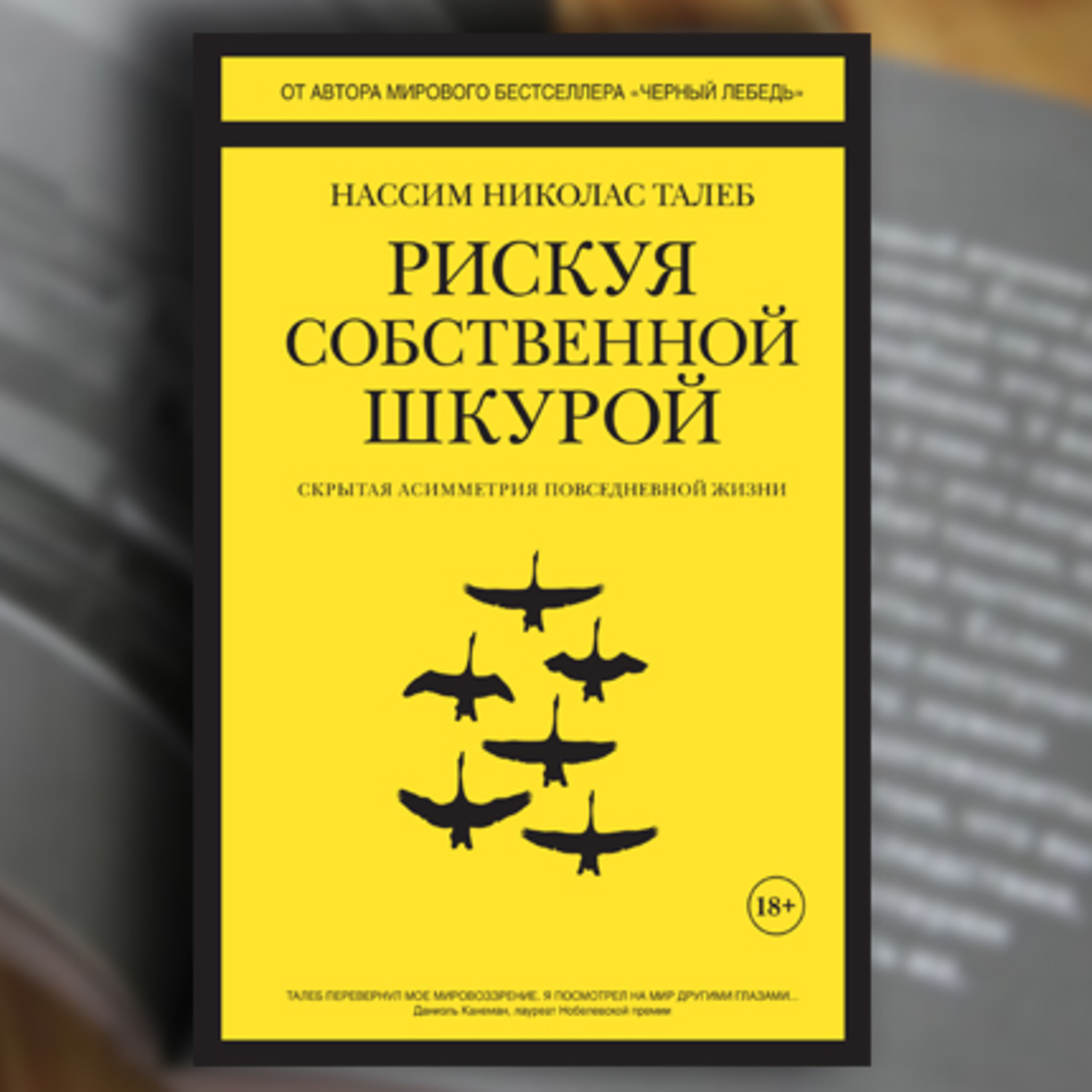Рискуя собственной шкурой. Скрытая асимметрия повседневной жизни | Талеб Нассим Николас / разбор книги episode artwork