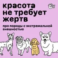 Красота не требует жертв! Про породы с экстремальной внешностью