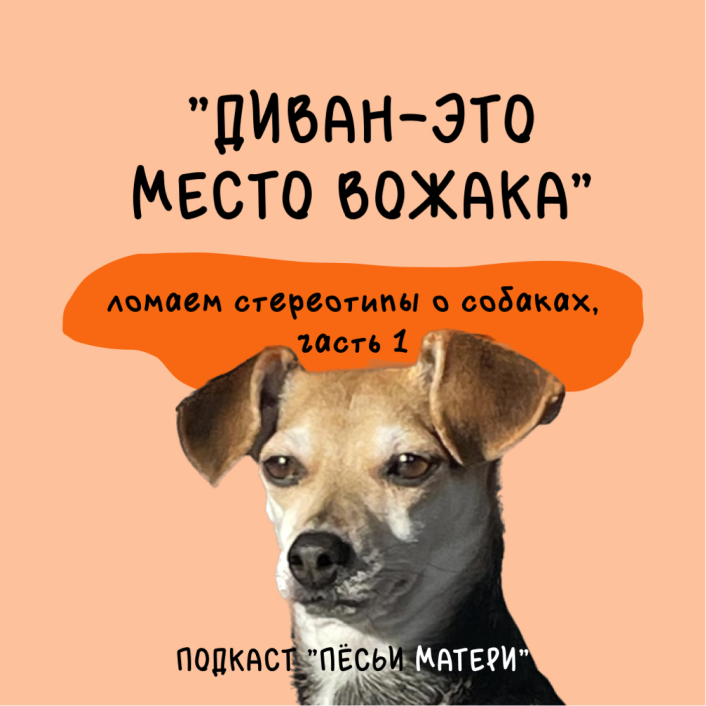 Диван — это место вожака. Ломаем стереотипы о собаках, часть 1 episode artwork