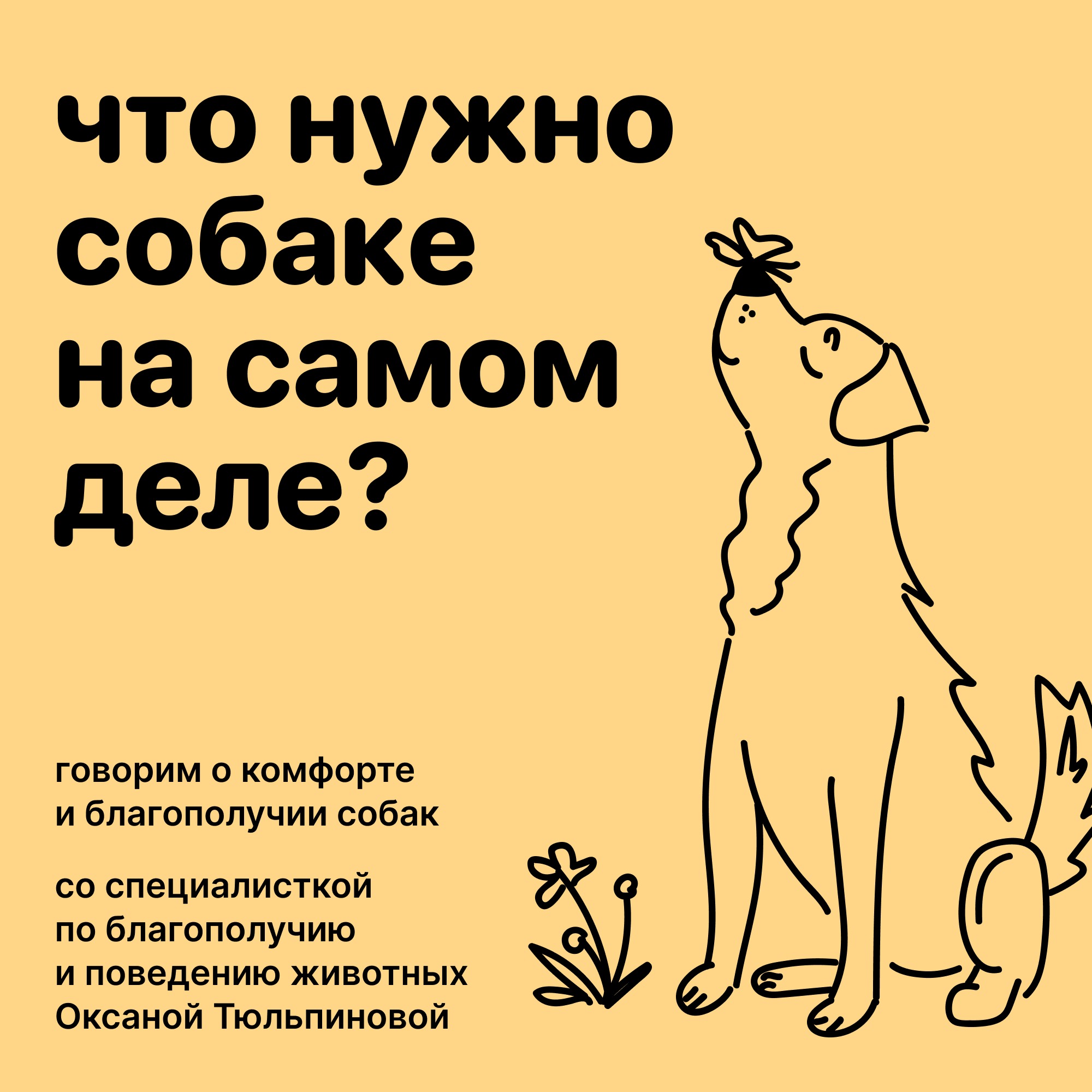 Что нужно собаке на самом деле? Выпуск о комфорте и благополучии городских собак episode artwork